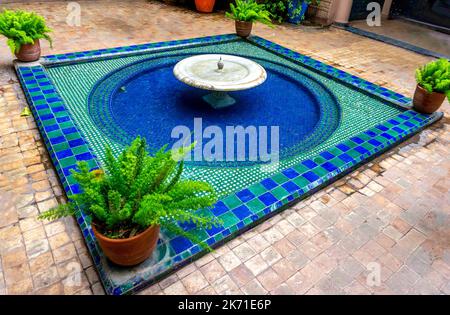 Marokko, Marrakesch, Le Jardin Majorelle Gardens. Berühmte Gärten im Herzen von Marrakesch, die von Yves San Laurent begonnen wurden und jetzt öffentliche Gärten sind. Stockfoto