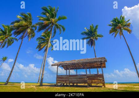 Einzelne traditionelle Hütte von Kokosnuss/Palm Tree in der Nähe der Strand für einen Urlaub umgeben Stockfoto