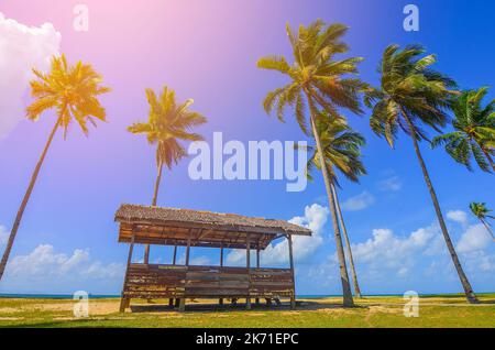 Einzelne traditionelle Hütte von Kokosnuss/Palm Tree in der Nähe der Strand für einen Urlaub umgeben Stockfoto