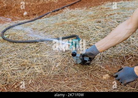 Landschaftsgärtnerei durch Installation professioneller Techniker Rasen Sprinkler Bewässerung Hof in der Nähe von neuem Haus Stockfoto