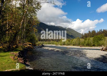 WA22308-00...WASHINGTON - der Hoh River vom Fichte Nature Trail im Olympic National Park aus gesehen. Stockfoto