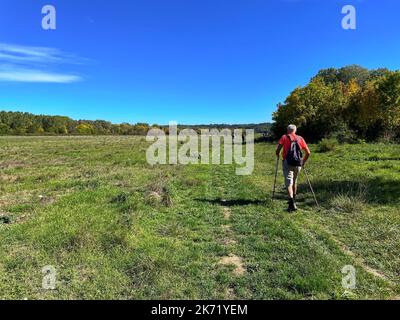 Seniorenkind, der auf dem Weg über die Wiese wandert Stockfoto