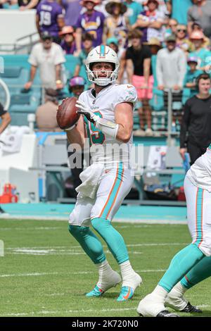 Sonntag, 16. Oktober 2022; Miami Gardens, FL USA; Miami Dolphins Quarterback Skylar Thompson (19) fällt zurück und sucht während einer nach einem offenen Empfänger Stockfoto