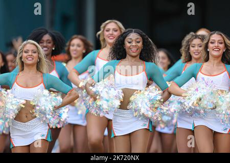 Sonntag, 16. Oktober 2022; Miami Gardens, FL USA; Die Cheerleader der Miami Dolphins bereiten sich darauf vor, das Team während eines NFL-Spiels auf das Spielfeld zu führen Stockfoto