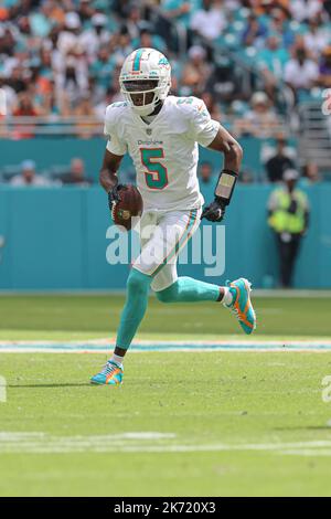 Sonntag, 16. Oktober 2022; Miami Gardens, FL USA; Miami Dolphins Quarterback Teddy Bridgewater (5) kriegt aus der Tasche und rennt für den ersten Stockfoto