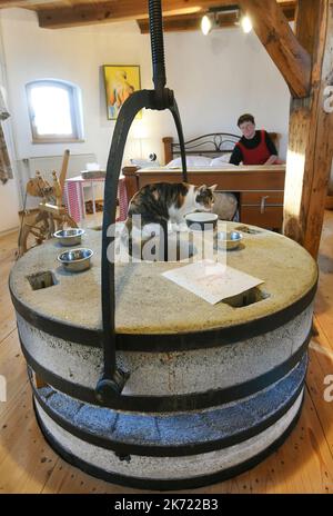 Krostitz, Deutschland. 10. Oktober 2022. Anke Hüttner sitzt auf dem Bett im Schlafzimmer ihrer Turmwindmühle aus dem Jahr 1883 hinter dem historischen Mahlwek in Kupsal in Nordsachsen, wo Hauskatze Paula ihren Futterplatz hat. Vor vier Jahren tauschten der Steuerbeamte und ihr Mann ihre Wohnung in der Großstadt Leipzig im Turm der weißen Windmühle für das Leben ein. (To dpa 'Sleeping Behind Windmill Wings - couple lives in old Mill') Quelle: Waltraud Grubitzsch/dpa/Alamy Live News Stockfoto