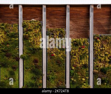 Das Äußere eines großen Industriegebäudes mit Pflanzen, die an seiner Seite auf einer lebenden Wand oder einem vertikalen Garten für Netto-Null- und Kohlenstoff-neutra wachsen Stockfoto