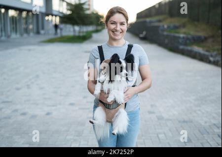 Glückliche kaukasische Frau, die mit einem Hund in einem Rucksack läuft. Papillon Spaniel Continental in einer Schlinge. Stockfoto