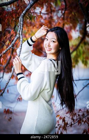 Herbstfarben | Porträt einer schlanken asiatischen Teen-Frau, die unter einem Ahornbaum steht Stockfoto