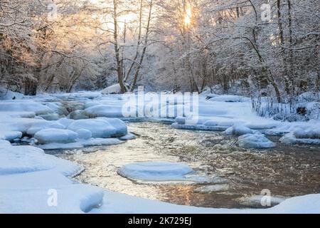 Fließender Fluss in verschneiten Wäldern Stockfoto