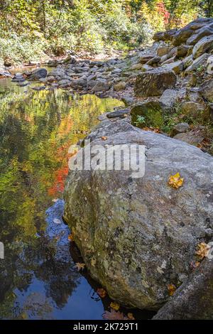 Wunderschöne Herbstfarben spiegeln sich in Toccoa Creek direkt unterhalb der Toccoa Falls in Toccoa, Georgia. (USA) Stockfoto