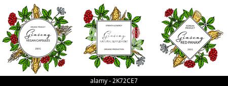 Set von Ginseng bunten Rahmen. Handgezeichnete botanische Vektorgrafik im Skizzenstil. Design für Logo, Verpackung, Etikett, Abzeichen. Kräutermedizin BA Stock Vektor
