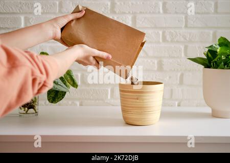 Eine Frau Floristin gießt Drainage für die Pflanzung von Pflanzen in einem Blumentopf. Vorbereitung für die Pflanzung einer Zimmerpflanze, weiße Ziegelwand Hintergrund Stockfoto