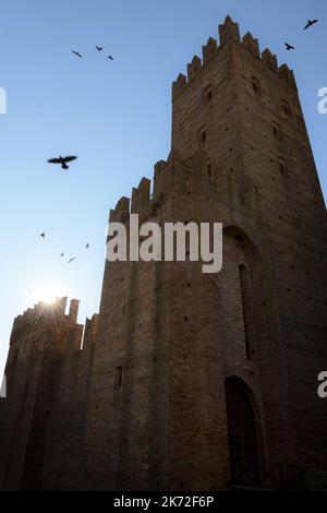 Außenansicht von unten auf den Rocca (Hochburg Burgturm) von Castell’Arquato, mittelalterliches Dorf in der Emilia Romagna, mit sich bewegenden Vögeln in Th fliegen Stockfoto