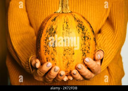 Kürbis in den Händen der Frau mit orange warmen Herbst kuscheligen Wollpullover Stockfoto
