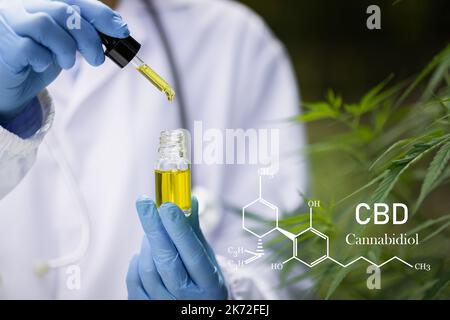 Tropfen Hanföl, CBD-Cannabisöl in der Pipette, medizinisches Marihuana-Konzept. Stockfoto