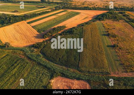 Luftaufnahme der Landschaft mit kultivierten Erntefeldern von Drohne pov im Sommer Sonnenuntergang. Bunte Landschaft mit landwirtschaftlichen Plantagen patc Stockfoto