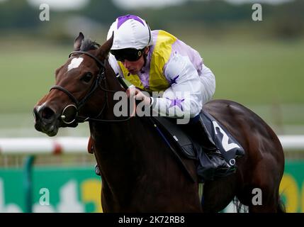 Aktenfoto vom 24-09-2022 von Lezoo unter dem Jockey William Buick. Ralph Becketts zweijähriges Stutfohlen Lezoo ist für die Saison fertig, Connections träumt davon, was sie bei ihrer Rückkehr auf die Rennstrecke im Jahr 2023 erreichen kann. Ausgabedatum: Montag, 17. Oktober 2022. Stockfoto