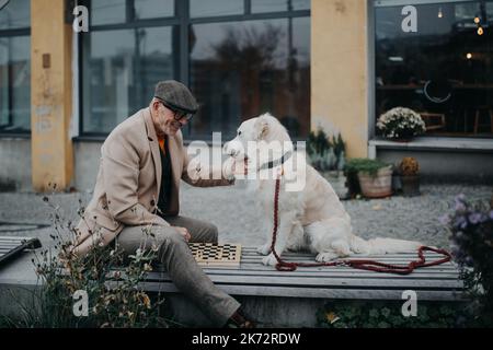 Älterer Mann, der mit seinem Hund auf der Bank sitzt und Schach spielt. Stockfoto