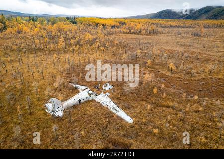 Verlassenes Wrackflugzeug in einem Sumpf, der in Russland von Lärchen umrammt ist. Herbstfoto Stockfoto