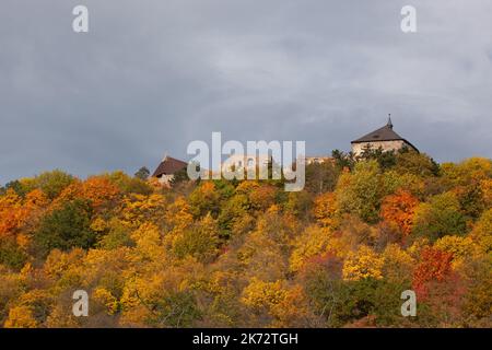 Die Dächer der Burg entstehen aus dem Wald in gelb-orange-rot-grünen Farben, wodurch Farbflächen entstehen, die einen enormen Kontrast zu den bedeckten s bilden Stockfoto