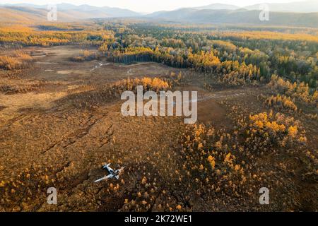 Verlassenes Wrackflugzeug in einem Sumpf, umgeben von Lärchen in Russland. Herbstfoto Stockfoto