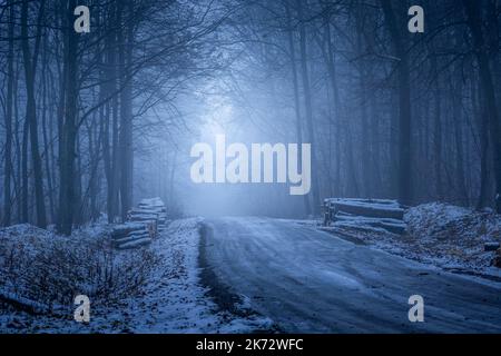 Winteransicht des dunklen und nebelblauen Waldes Stockfoto