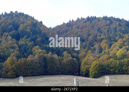 Pian del cansiglio während der Herbstsaison. Venedig, Italien, 9. Oktober 2022 Stockfoto