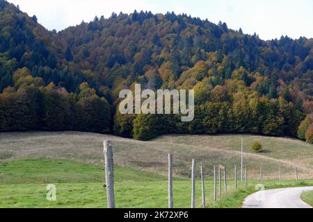 Pian del cansiglio während der Herbstsaison. Venedig, Italien, 9. Oktober 2022 Stockfoto