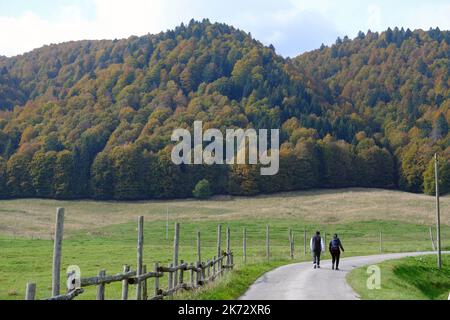 Pian del cansiglio während der Herbstsaison. Venedig, Italien, 9. Oktober 2022 Stockfoto