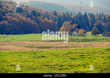 Pian del cansiglio während der Herbstsaison. Venedig, Italien, 9. Oktober 2022 Stockfoto