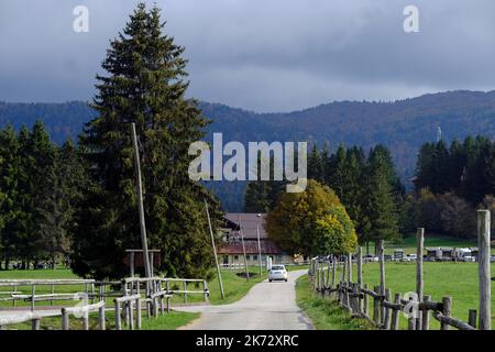 Pian del cansiglio während der Herbstsaison. Venedig, Italien, 9. Oktober 2022 Stockfoto