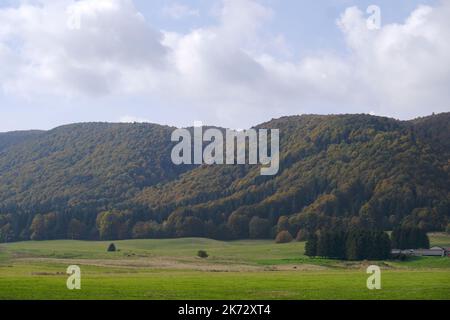 Pian del cansiglio während der Herbstsaison. Venedig, Italien, 9. Oktober 2022 Stockfoto