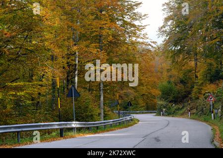 Pian del cansiglio während der Herbstsaison. Venedig, Italien, 9. Oktober 2022 Stockfoto