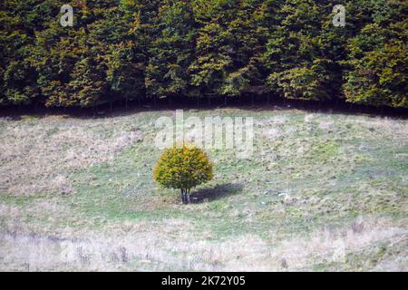 Pian del cansiglio während der Herbstsaison. Venedig, Italien, 9. Oktober 2022 Stockfoto