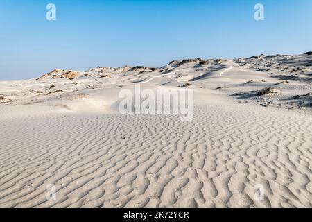 Der atemberaubende weiße Sandstrand von Sugar Dunes oder Al Khaluf Dunes liegt mehr als 400km von Muscat entfernt. Sultanat Oman Stockfoto