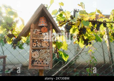 Insektenhaus im Garten, Konzept der ökologischen Gartenarbeit und nachhaltiger Lebensstil. Stockfoto