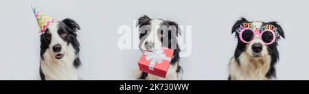 Happy Birthday Party Banner. Drei Welpen Hund Grenze Collie trägt Geburtstag Hut dumme Brillen halten Geschenk-Box im Mund isoliert auf weißem Hintergrund. Haustier Hund am Geburtstag. Vorbereitung auf die Party Stockfoto