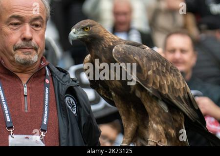 Frankfurt, Hessen, Deutschland. 15. Oktober 2022. NORBERT LAWITSCHKA hält ATTILA DEN ADLER vor dem Bundesligaspiel Eintracht Frankfurt gegen Bayer Leverkusen im Deutsche Bank Park in Frankfurt am 15. Oktober 2022. (Bild: © Kai Dambach/ZUMA Press Wire) Stockfoto