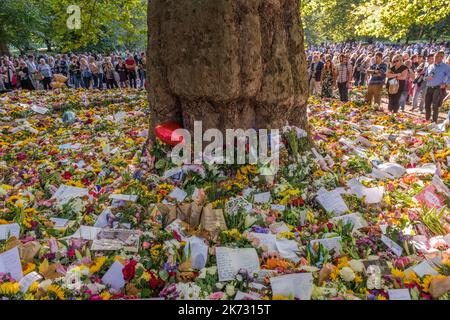 Große Menschenmengen versammeln sich im Green Park, London, Großbritannien, um die enorme Anzahl von Blumen und Blumengebeten zu sehen, die nach dem Tod von Königin Elizabeth II. Hinterlassen wurden Stockfoto