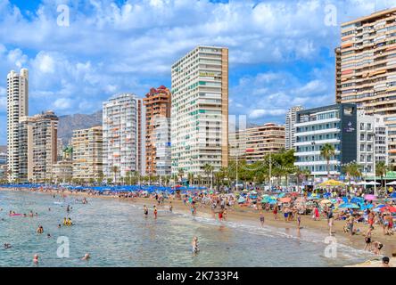 Die beliebte Strandpromenade, Promenade und Strände am Levante Beach in Benidorm an der Costa Blanca Küste des Mittelmeers, Spanien. Stockfoto