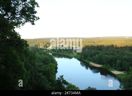Foto des Flussbetts und der grünen Bäume von oben Stockfoto