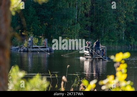 Kouvola, Finnland. 11. September 2022. Ketunlossi (die Fox Ferry), handgezogene Fähre mit Menschen an Bord im Repovesi National Park Stockfoto