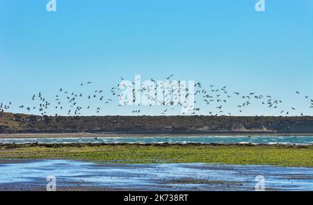 aleta Valdes Landescape, Halbinsel Valdes chubut Provinz Patagonien Argentinien Stockfoto