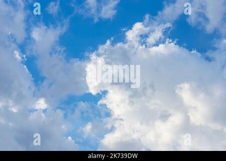 Weiße Cumulus-Wolken fliegen über den blauen Himmel. Himmel Hintergrund mit Wolken Stockfoto