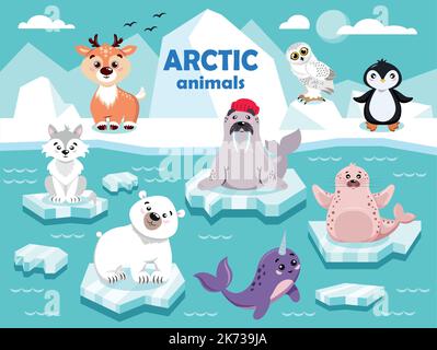 Tiere der Arktis. Bär, Hirsch, Eule, Narwal, Pinguin, Walross, Wolf, Robbe. Stock Vektor