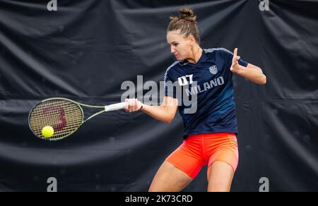 Guadalajara, Mexiko - 15. Oktober 2022, Veronika Kudermetova aus Russland beim Training vor dem WTA Guadalajara Open Akron WTA 1000 Tennisturnier 2022 am 15. Oktober 2022 in Guadalajara, Mexiko - Foto: Rob Prange/DPPI/LiveMedia Stockfoto