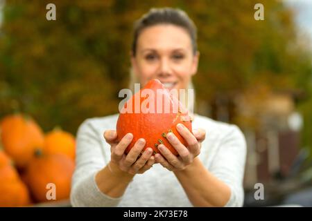 Hübsche Frau hält einen kleinen Kürbis in beiden Händen und zeigt ihn der Kamera und bietet ihn mit dem Fokus auf den Kürbis an Stockfoto