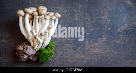 Cluster von frischen braunen Shimeji-Pilzen aus der Nähe. Shimeji-Pilze auf hölzernem Hintergrund. Stockfoto