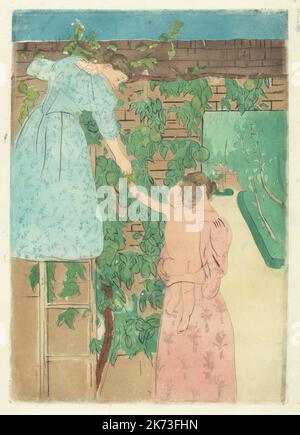 Mary Stevenson Cassatt 1844 - 1926 - amerikanische Malerin und Grafikerin, eine der drei großen Damen des Impressionismus - Früchte sammeln - Aquatinta auf l Stockfoto